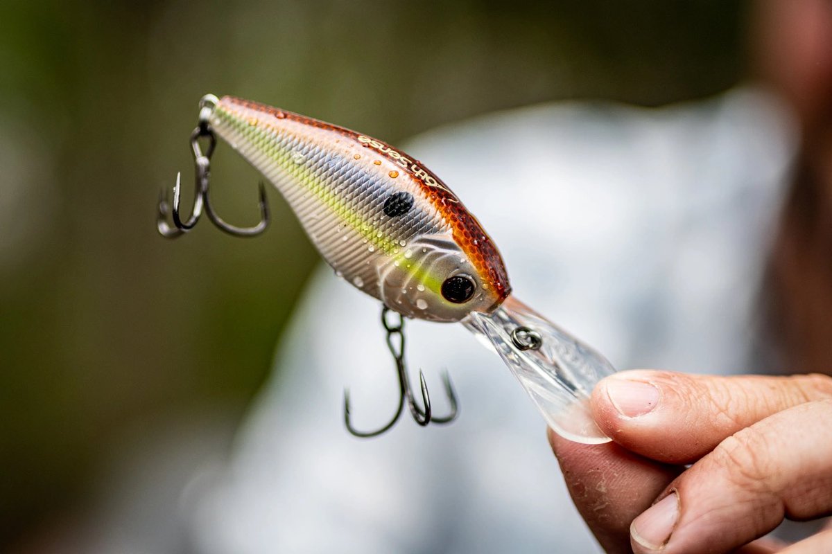 Bassmaster #OpensEQ angler <a href="/joeyfishing/">Joey Nania</a> has you covered with this simple selection that will get you started. Watch him fill this empty tacklebox with everything you need to match the right size and color of crankbait to the prevailing food forage, and where and how to apply