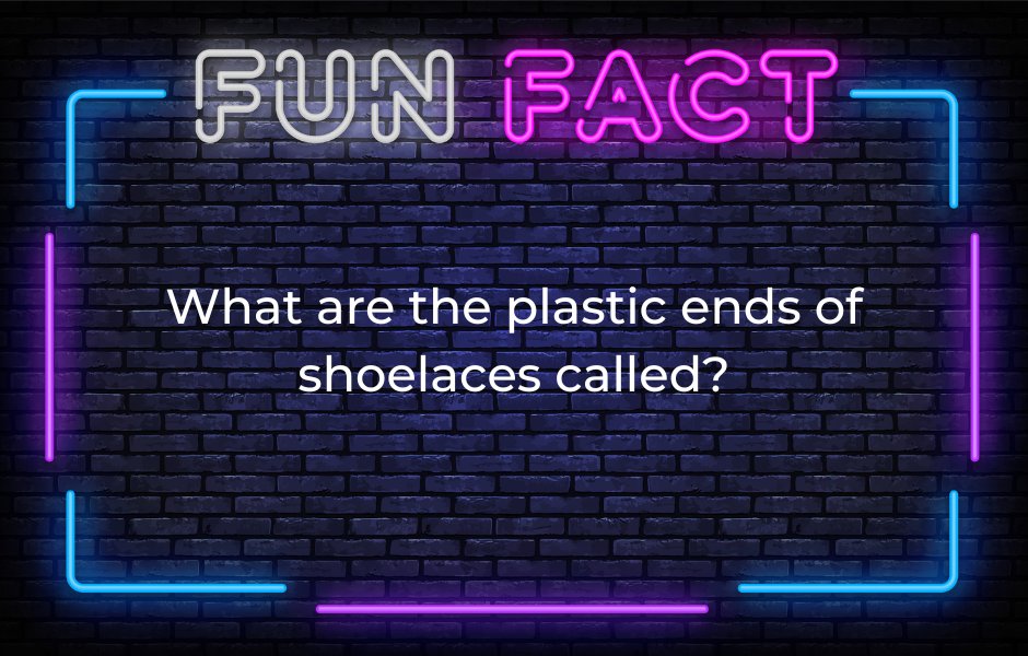 KCKPL's tweet photo. What are the plastic ends of shoelaces called? #trivia #funfact #kckpl
1/2 https://t.co/MHd9Ooh1hY