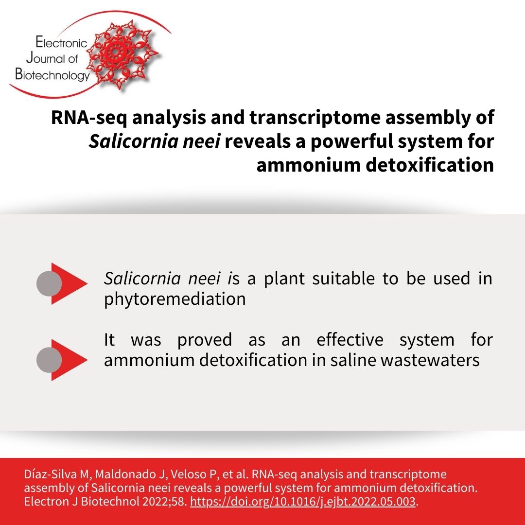 EJBiotechnology's tweet image. ⭕️The present transcriptome profiling method could be useful when investigating the response of halophyte plants to saline wastewater from land-based aquaculture.  
🔗doi.org/10.1016/j.ejbt…
#360video #Ammoniumdetoxification #Ammoniumresponse #Aquaculture