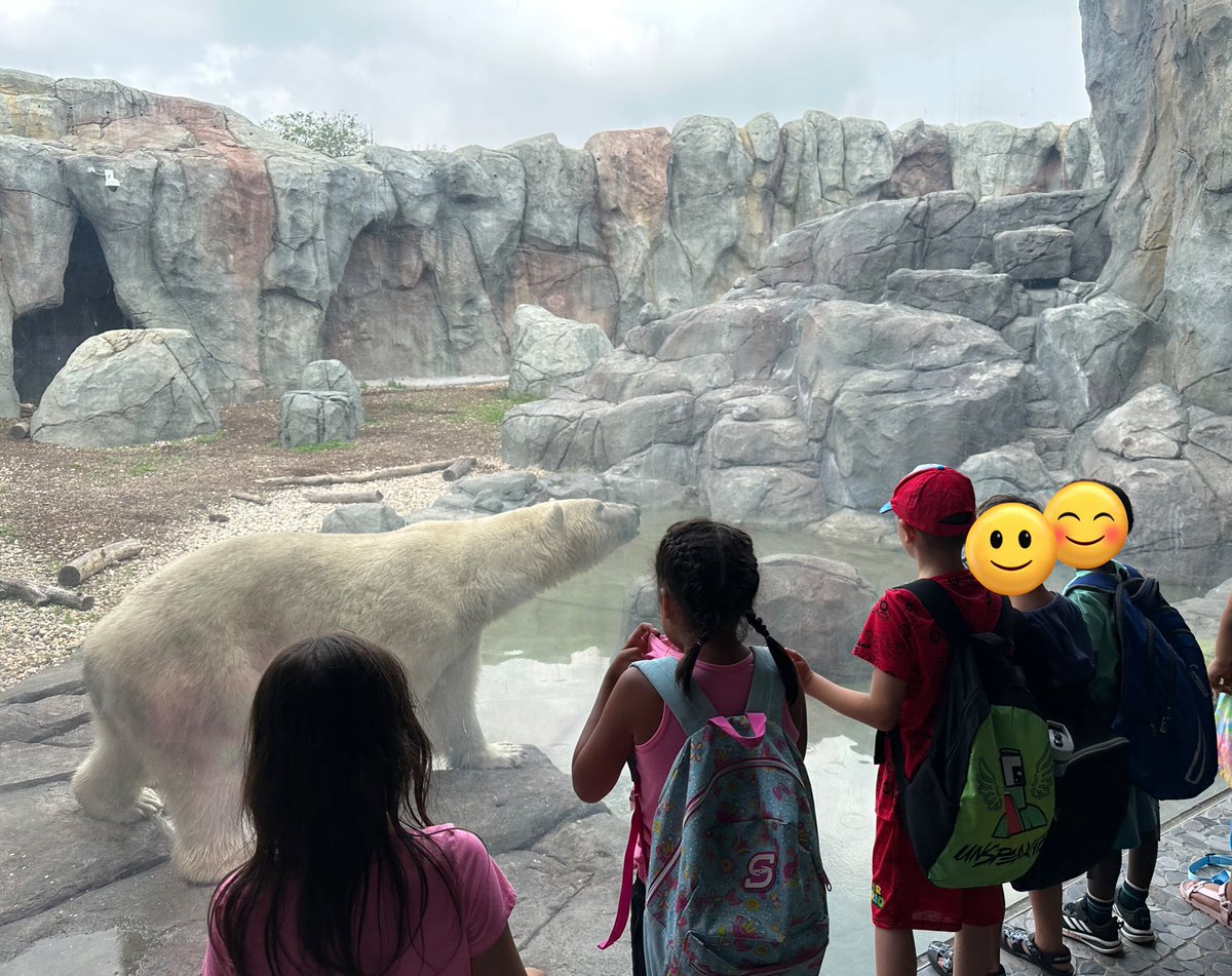 Dana Dangerfield tweet media