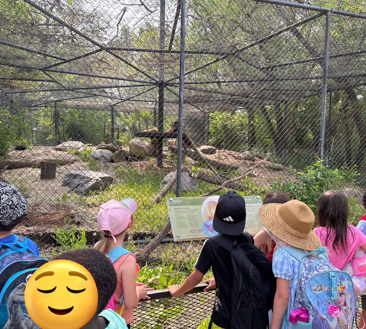 Dana Dangerfield tweet media