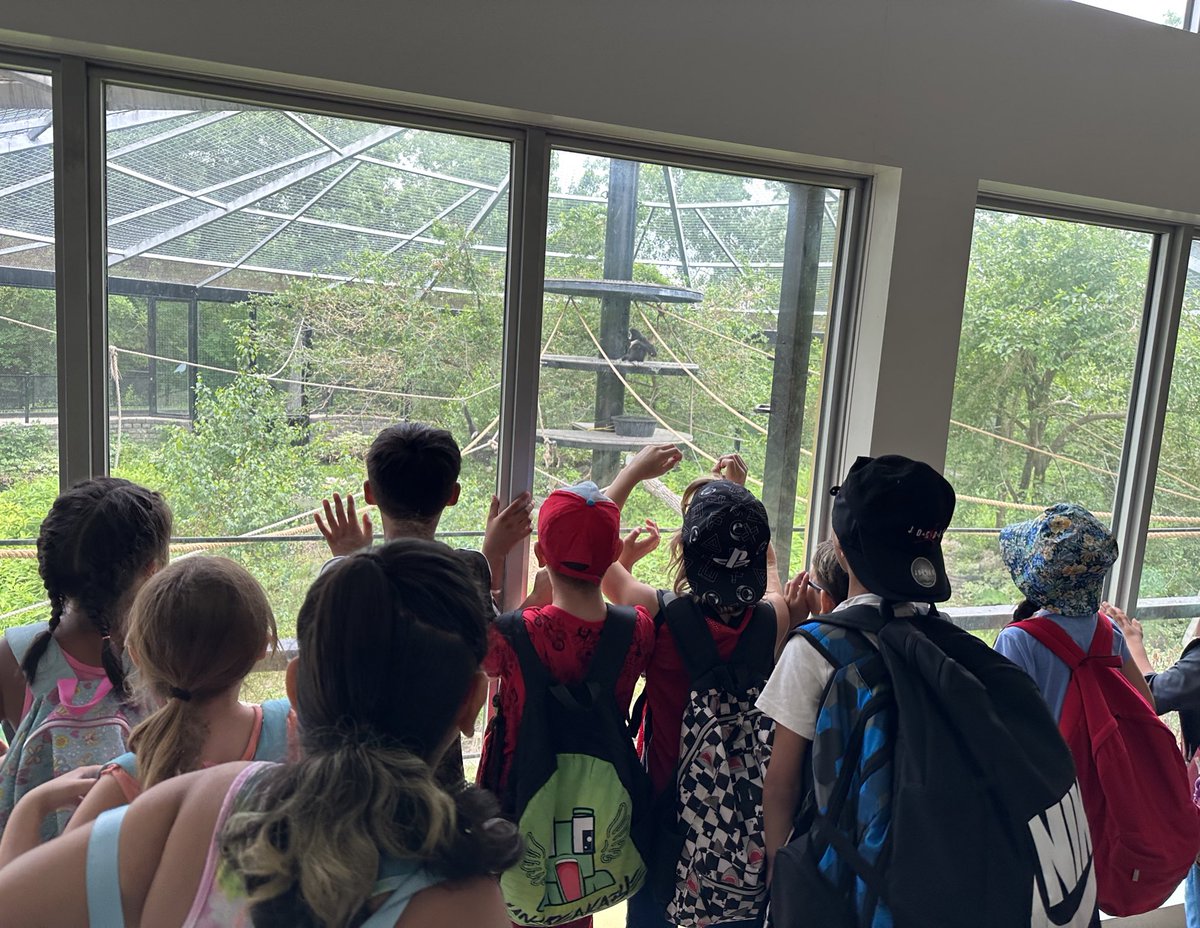 Dana Dangerfield tweet media