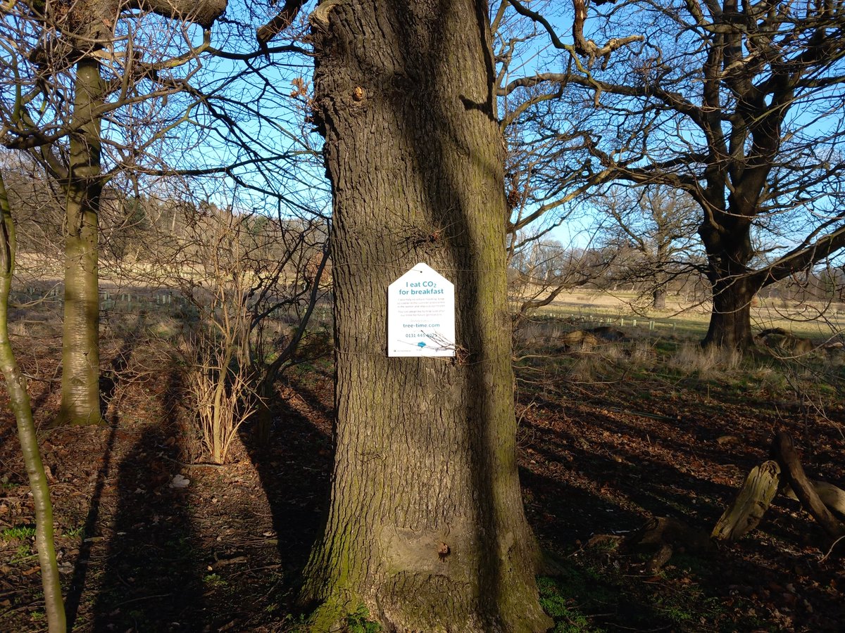 It's the #GreatBigGreenWeek! What will you do this week to protect nature & tackle climate change? Tree Time offers donation packages to support, adopt & plant trees across Edinburgh & the Lothians!
Find out more at https://t.co/nD2U29fS5l

@TheCCoalition #PledgeForThePlanet