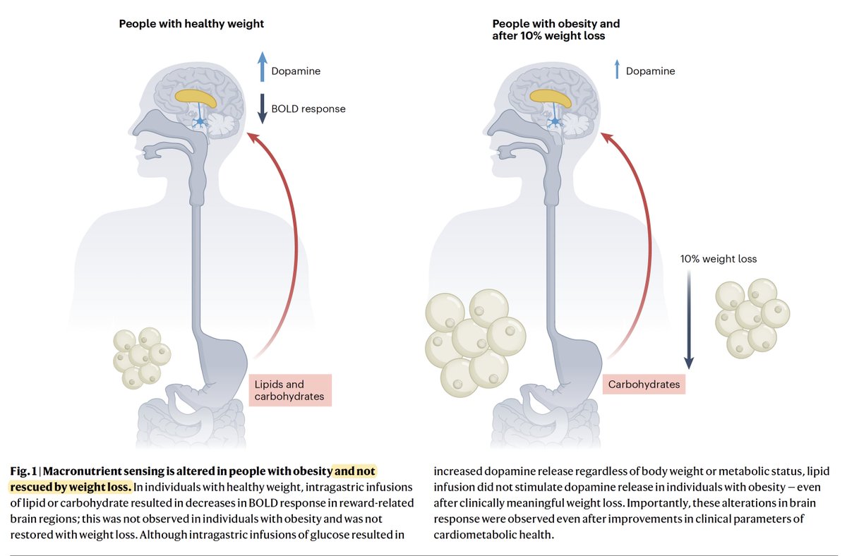 Eric Topol tweet media