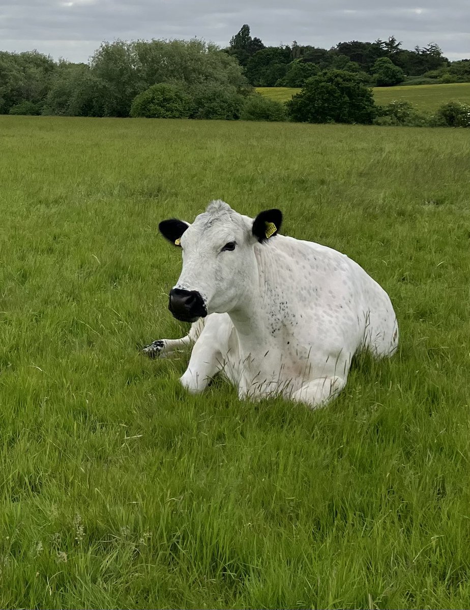 Woodlands Farm Trust (@woodlandsft) on Twitter photo Thanks for coming down to visit us on <a href="/OpenFarmSunday/">OpenFarmSunday</a> it was great to see you all on such a hot day! Fancy coming down in the evening when it’s a bit cooler? Then our Barn Dance is for you! 1st July 7.30pm-10.30pm - tickets on our website. Thewoodlandsfarmtrust.org Thanks for coming down to visit us on <a href="/OpenFarmSunday/">OpenFarmSunday</a> it was great to see you all on such a hot day! Fancy coming down in the evening when it’s a bit cooler? Then our Barn Dance is for you! 1st July 7.30pm-10.30pm - tickets on our website. Thewoodlandsfarmtrust.org