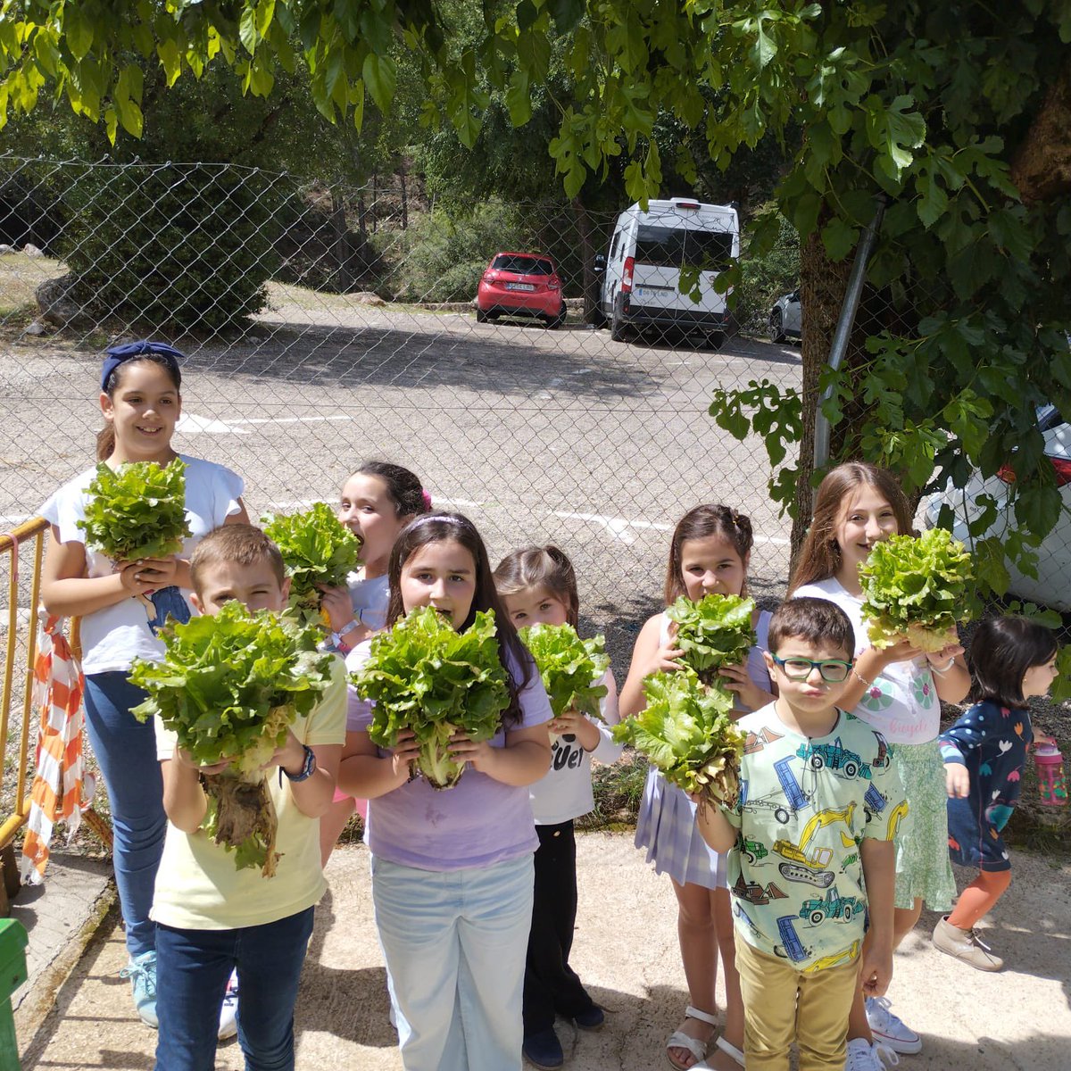 Sembramos con ilusión y cuidamos con perseverancia, recoger el fruto era solo cuestión de tiempo ☺️🪴 #huertoescolar

<a href="/EducaAnd/">Consejería Desarrollo Educativo y FP</a> 
<a href="/MedioAmbAND/">Consejería de Sostenibilidad y Medio Ambiente</a>