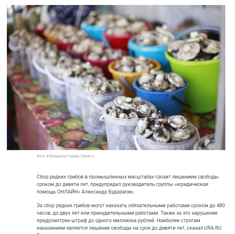 Fuligan_RF's tweet photo. Они походу каких-то грибов пожрали!)) И от скольки начинается промышленный маштаб? 9 лет! За убийство меньше дают!  "С ебанутых спроса нет" это гимн госдуры? https://t.co/YbFLGWEaFF