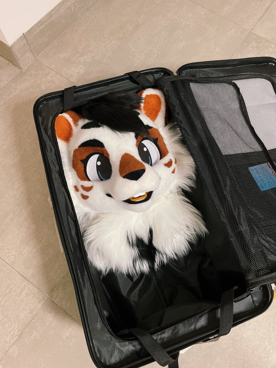 RouteYeCN's tweet photo. My new OC！Her prototype is a type of flying squirrel distributed in Asia. I haven't finished the body yet, but she got into the suitcase and couldn't wait to go on a vocation！ #fursuit https://t.co/QspLExS80s