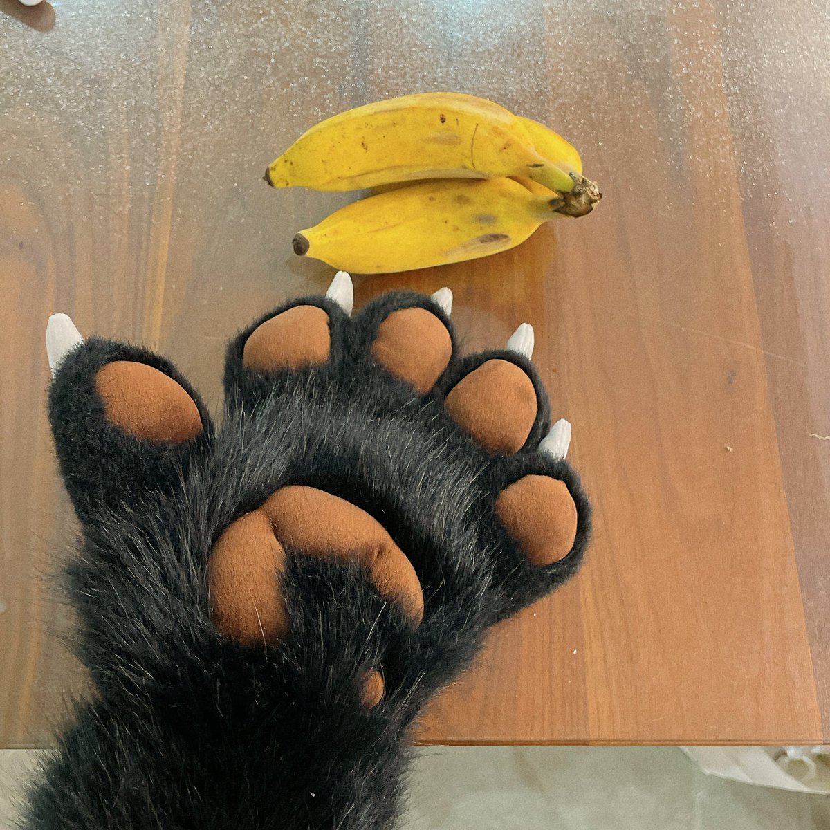 RouteYeCN's tweet photo. My new OC！Her prototype is a type of flying squirrel distributed in Asia. I haven't finished the body yet, but she got into the suitcase and couldn't wait to go on a vocation！ #fursuit https://t.co/QspLExS80s