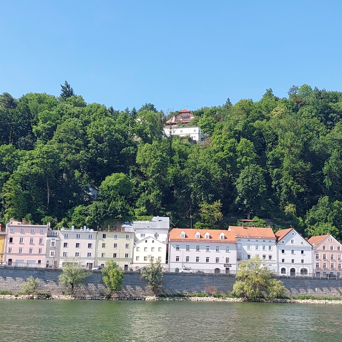 Robert T tweet media