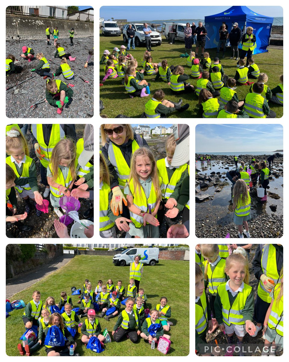donaghadee_ps's tweet photo. P4 took part in a beach clean as part of #ArdsandNorthDownBoroughCouncil #ProjectElla We had a lovely afternoon https://t.co/gZYmxF27yK