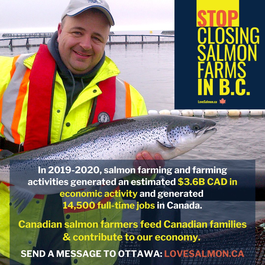 Canadian salmon farming feeds families, provides long-term jobs across Canada & delivers economic stability for rural, coastal & Indigenous communities. It is time to Stop Closing B.C. Salmon Farms:  lovesalmon.ca #cdnpoli #agproud