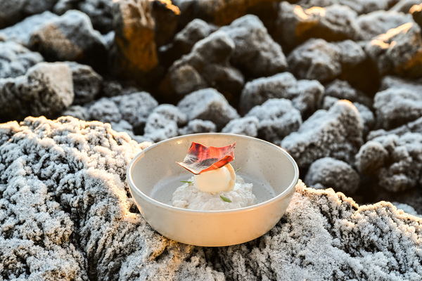 Moss in Grindavík, Iceland is awarded a #MICHELINStar23 in the #MICHELINGuideNORDIC