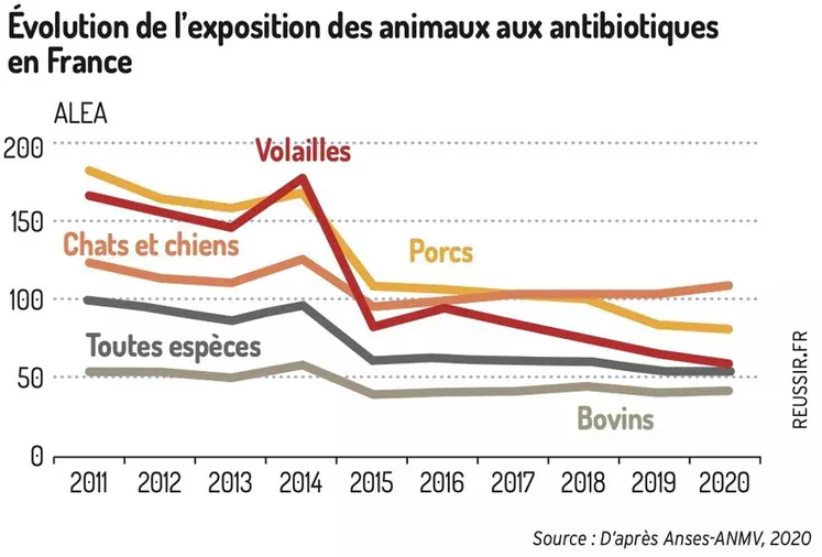 🔴 Dans la lutte contre l'antibiorésistance les élevages de volailles français ont obtenu des résultats spectaculaires.

En 20 ans, les éleveurs français sont parvenus à réduire l'usage d'antibiotique en santé animale de 72 %.