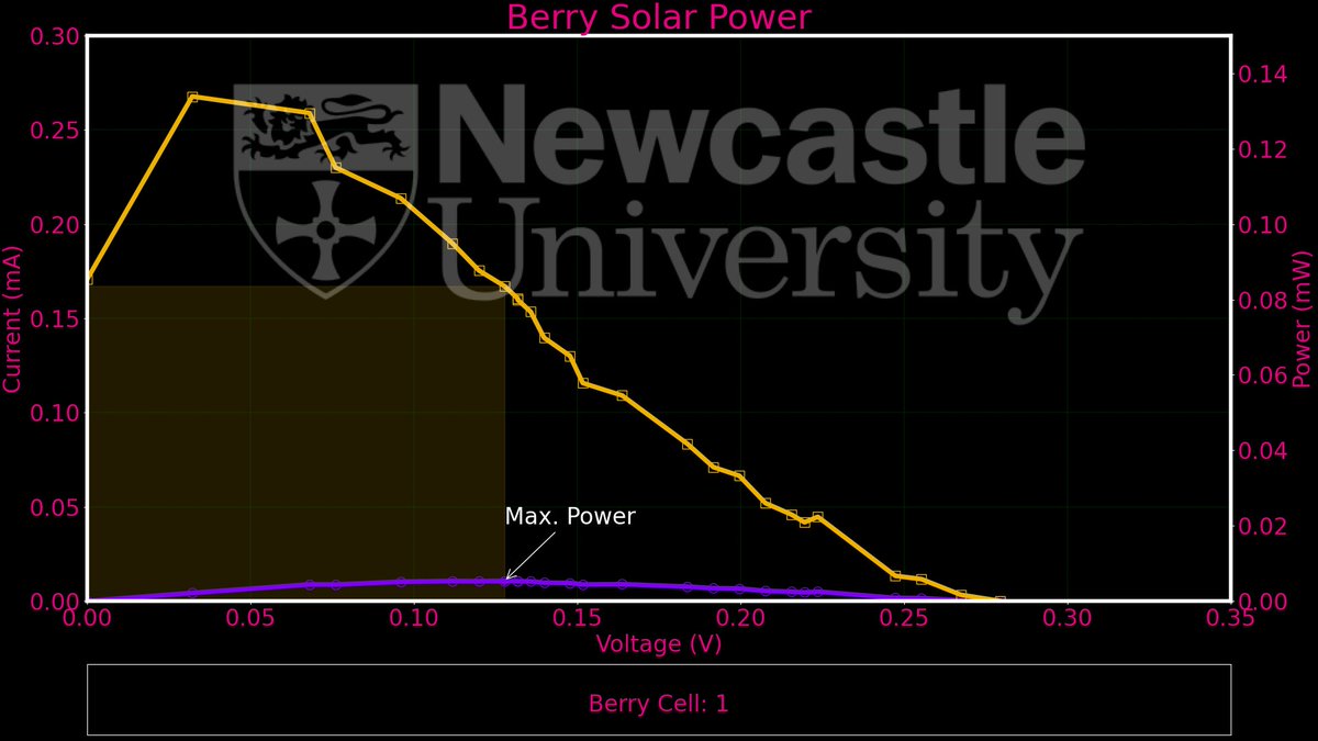 Berry Solar Cells for Berry Future tweet media
