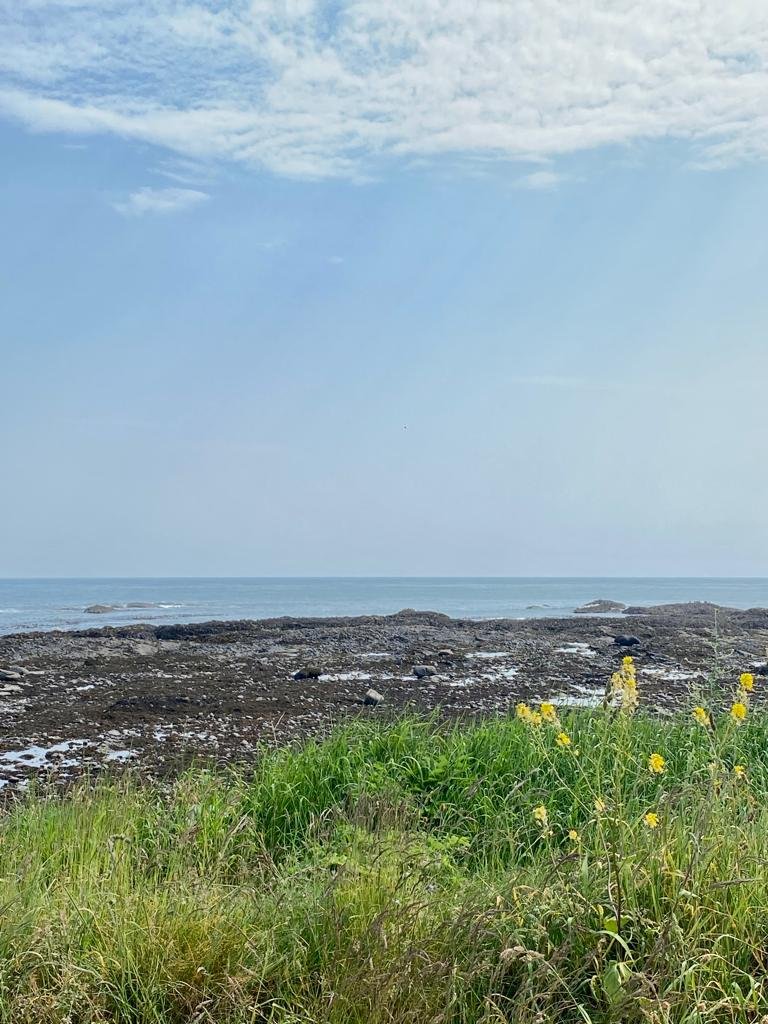 Galbraith_ABD's tweet image. 🌊🌊#OutAndAboutWithGalbraith today!

Hannah Christiansen is back in lovely Johnshaven. 
Our work takes us all over Aberdeenshire &amp;amp; Angus, to some wonderful locations. Are you looking to purchase property in our patch? 
Contact us on 01224 860710 

#MailingList #ExpertsInOurField