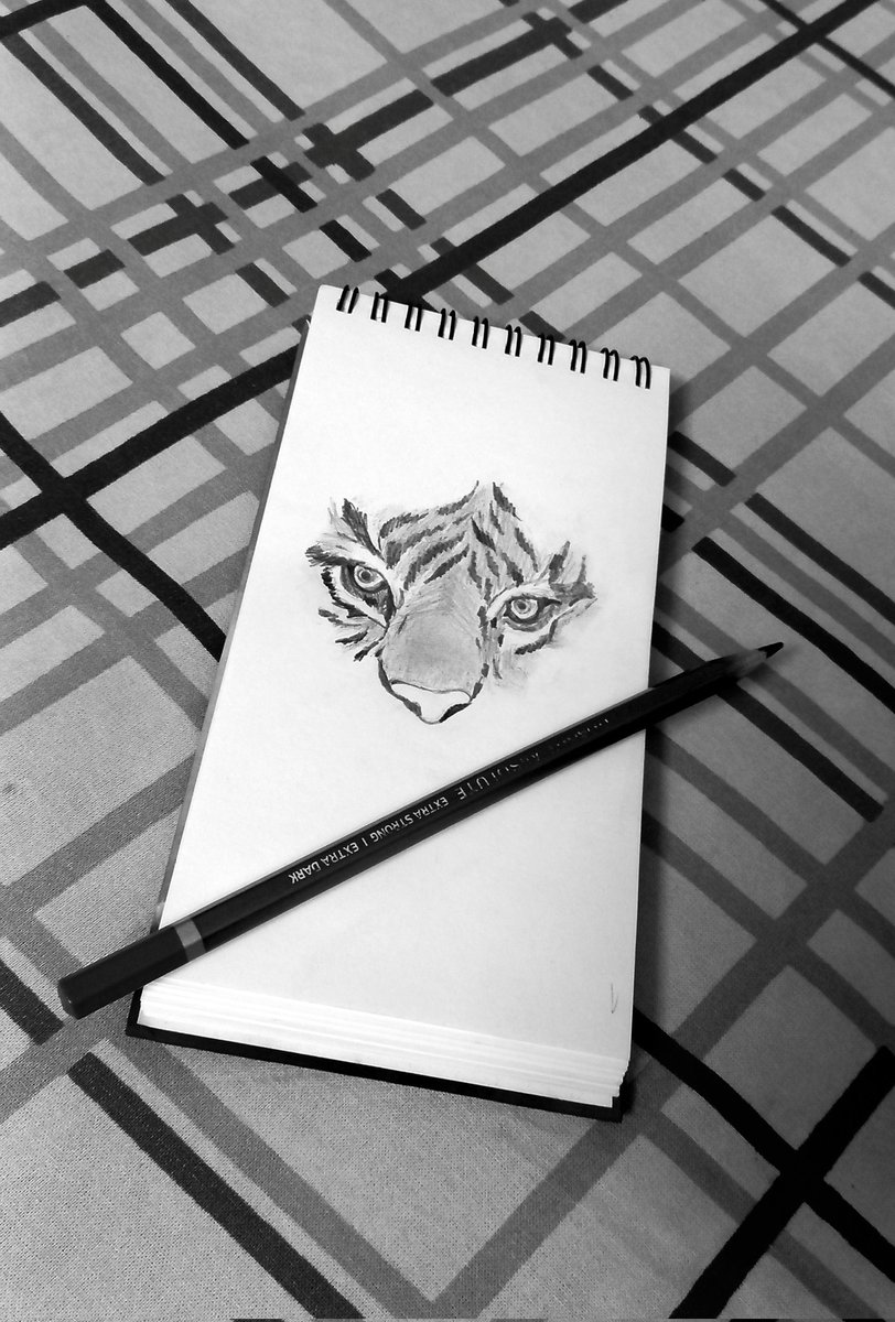 Just a lazy sketch....
I got the eye of a tiger, a fighter 🐯