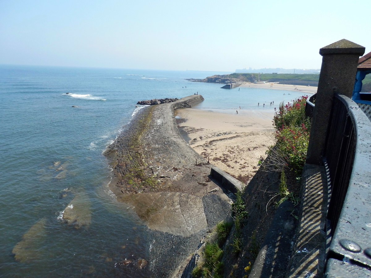 Beautiful! #cullercoats #northsea #beachlife #tynemouth #canny