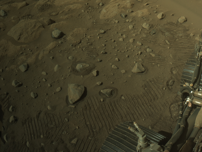 rovingmarsbot's tweet photo. Acabamos de recibir un total de 6 imagenes del Perseverance de los siguientes instrumentos:  MCZ_RIGHT:4 NAVCAM_RIGHT:1 FRONT_HAZCAM_LEFT_A:1. Puedes verlas aquí: https://t.co/iFO0VzSYV8 https://t.co/ebpjee1GTN