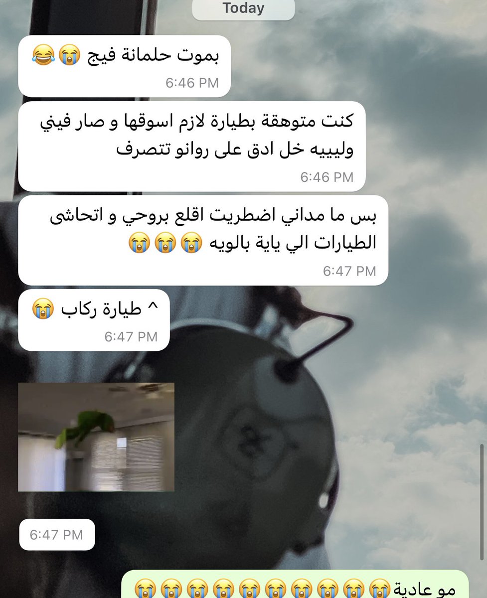 Rawan_AV's tweet photo. ما عندكم ربع ميانين جذي 💙😭🤣
@Munira_ALD3aij 
#اتحاشى_الطيارات_الي_ياية_بالويه https://t.co/Uak41S1HlP