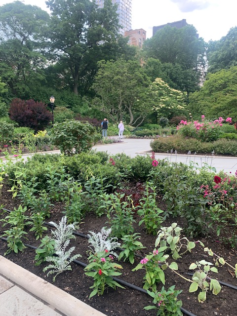 Happy Monday! Listen to your heart. Find a new path today and follow it! What will be your adventure? #lifeisajourney #explore #centralparkconservancy #conservatorygarden