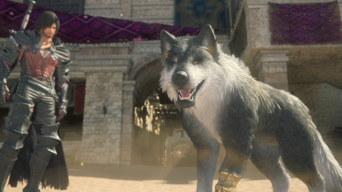 dog_rates's tweet photo. This is Torgal. He will be your fiercely loyal friend in @finalfantasyxvi. Found alone in the snow as a pup, he joins you now on the road and in battle through the land of Valisthea. 14/10 would be an honor to have by my side #ad https://t.co/AAu80Vpg1U