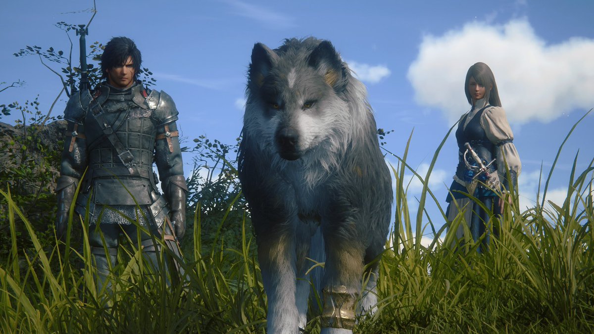 dog_rates's tweet photo. This is Torgal. He will be your fiercely loyal friend in @finalfantasyxvi. Found alone in the snow as a pup, he joins you now on the road and in battle through the land of Valisthea. 14/10 would be an honor to have by my side #ad https://t.co/AAu80Vpg1U
