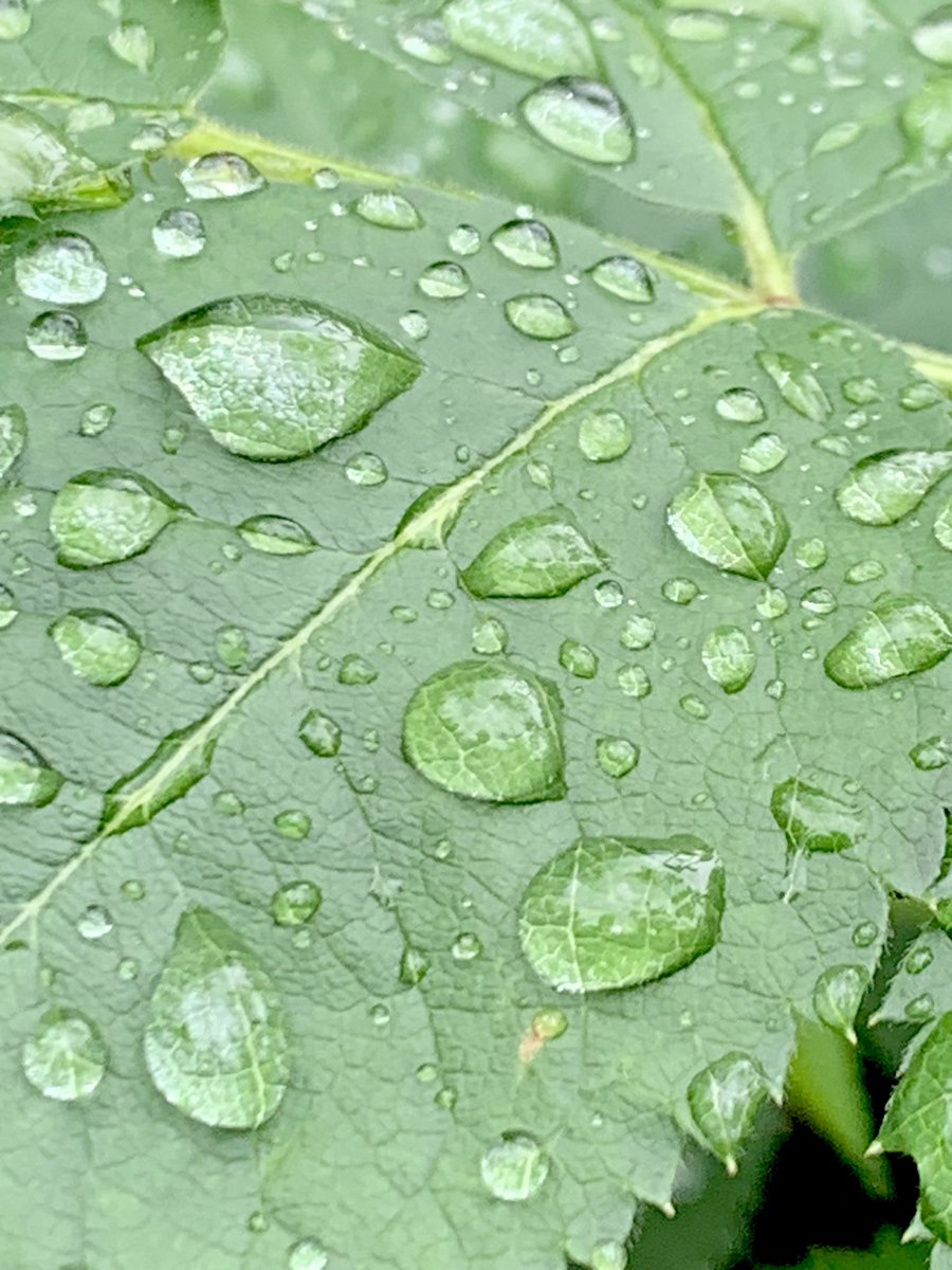 ☭︎Kytten☭︎✨(He/Him) (@kyttenattax) on Twitter photo 