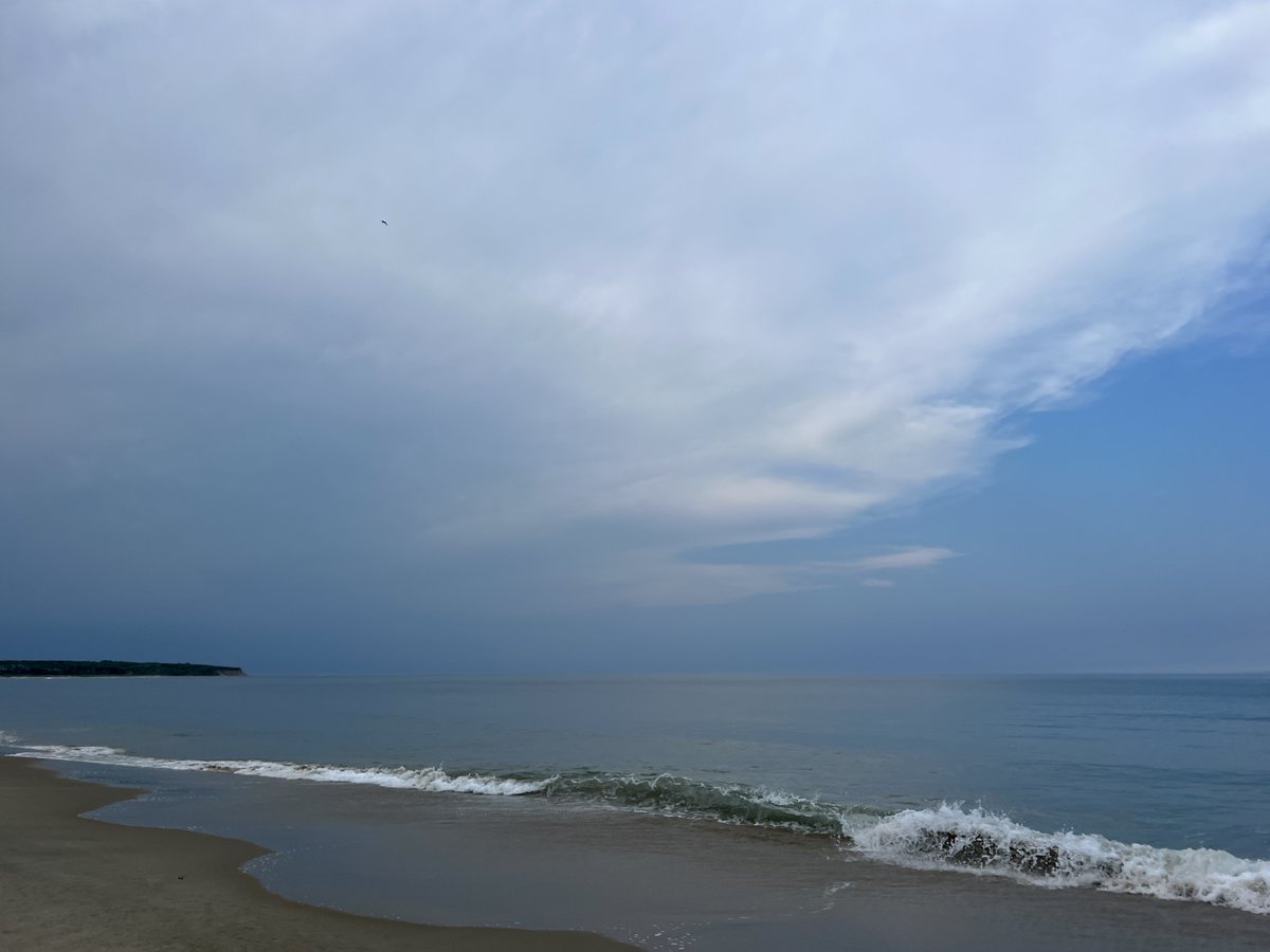 BlockIslandOrganics tweet media