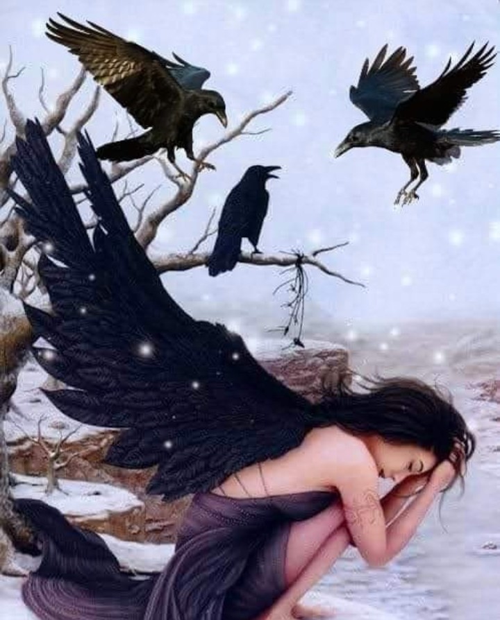 e_advertainment's tweet photo. Raven Lunatic | Eureka Pet Shop; Link in Bio 
#ravenart #artwork #ravenlife #ravenlovers #petlovers #amazon #amazonfinds #amazonfavorites #founditonamazon #amazoninfluencer #petinfluencer #shahbazasghar #eurekapetshop #eureka_advertainment https://t.co/jr2GLUbIHe