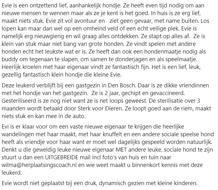 DeRavissante's tweet photo. Het is zo'n leuk,gezellig, klein hondje die Evie. Ze zoekt een eigenaar die heerlijk met haar gaat wandelen en vooral veel van knuffelen houdt. Ook heeft haar nieuwe eigenaar een andere leuke, speelse hond want dat is echt helemaal het einde voor Evie. 

RT is ❤️ https://t.co/bMhijAo8YE