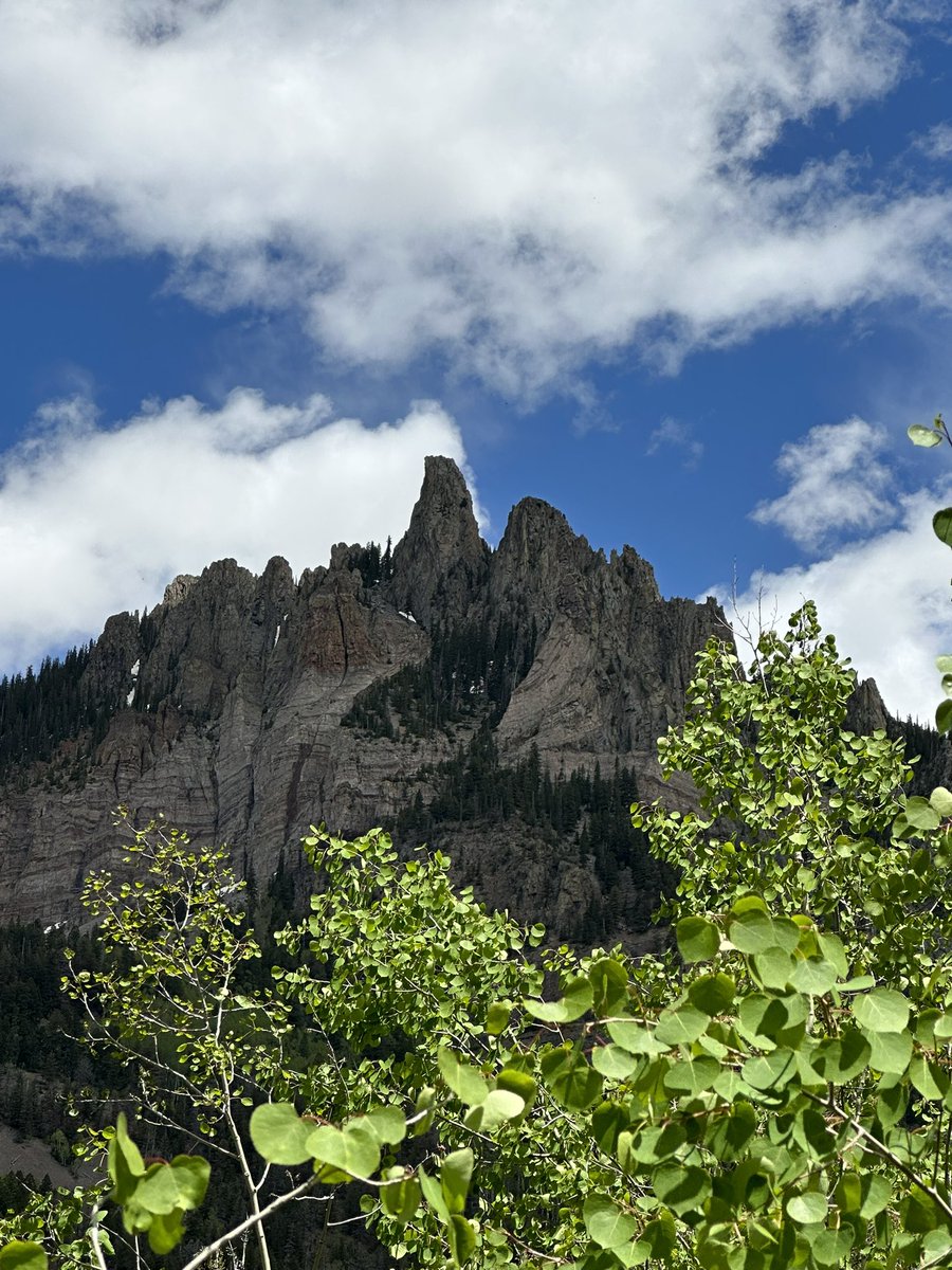 Caitlin 💜🖤 tweet media