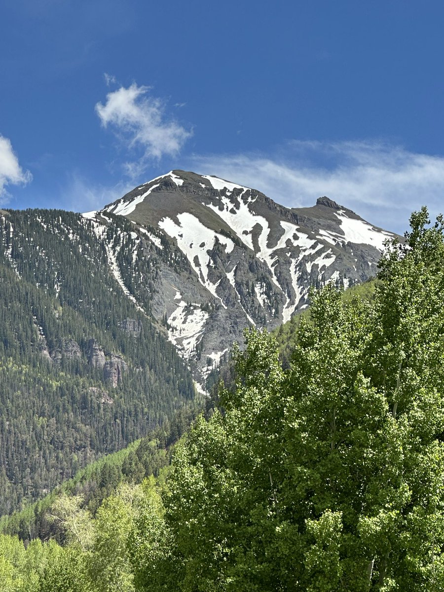 Caitlin 💜🖤 tweet media