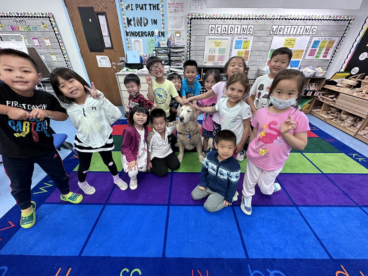 Today was a busy day in kindergarten! We started our day with PowerPals. After we celebrated “I” day with ice pops. To end our day, we had a very special furry friend visit. We shared our favorite kindergarten memories with Walter the therapy dog! <a href="/SearingtownK5/">Searingtown School</a> <a href="/HerricksSchools/">Herricks Schools</a>