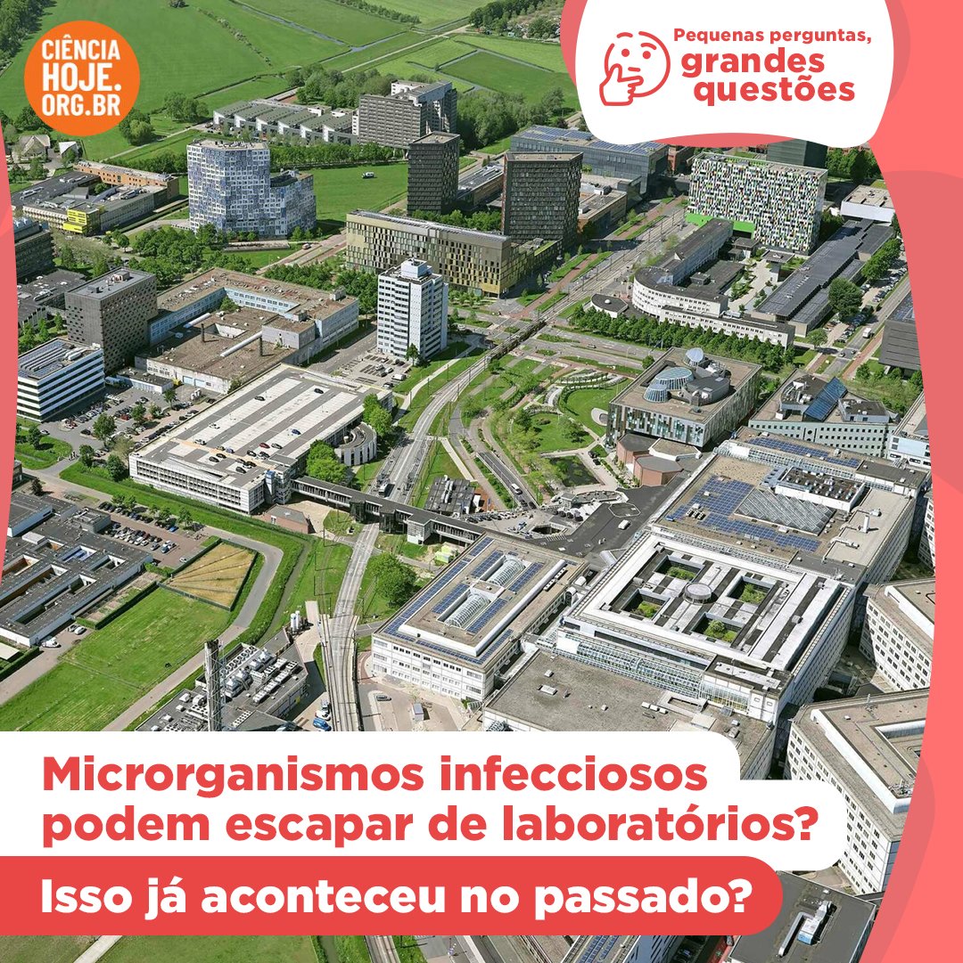 CienciaHoje's tweet image. 🤔❓️🔬 PEQUENAS PERGUNTAS, GRANDES QUESTÕES | Existem situações nas quais microrganismos infecciosos podem acidentalmente escapar de laboratórios, mesmo com todas as precauções e um alto nível de biossegurança. Mas como isso pode ocorrer?

(+)

cienciahoje.org.br/artigo/microrg…