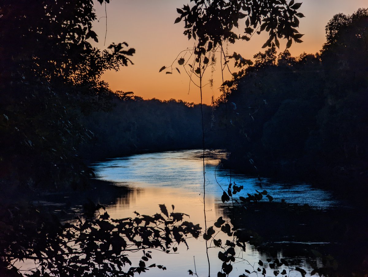 SRWMD's tweet photo. Did you know that June is National Rivers Month? Join us in celebrating the many rivers that the District is home to - including the Suwannee River, pictured below - and learn what you can do to keep our rivers clean and thriving! https://t.co/AW7skAL4aF