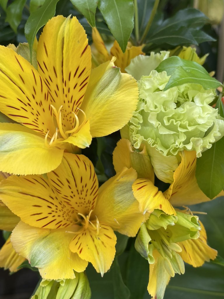 おはようございます🧡💛東京は曇り空🧡💛何時もフォロー、RT、イイねありがとうございます🧡💛今日も気分は明るく楽しくお過ごし下さい🧡💛午後から暑くなるそうです🧡熱中症に気をつけて水分補給忘れないでね💛