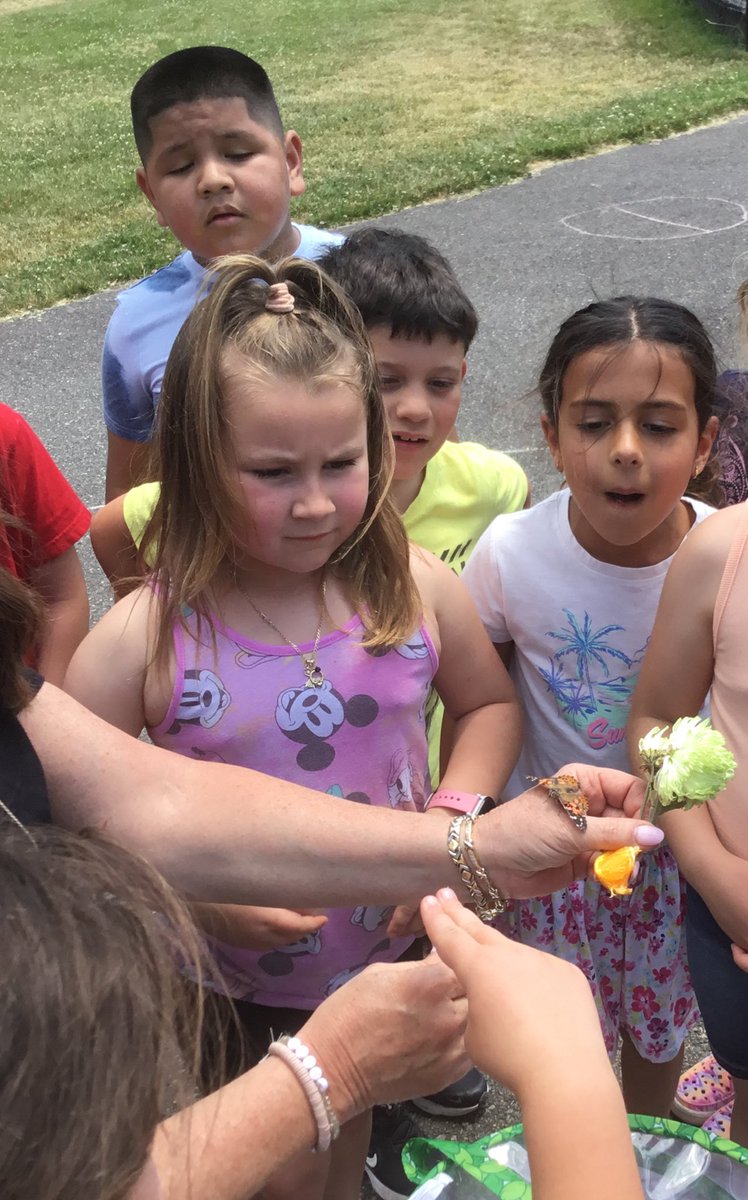 FeehanORH21's tweet image. We loved learning about butterflies and watching ours grow!🦋 @ORHEagles21 #WeHelpChildren #makingitfun
