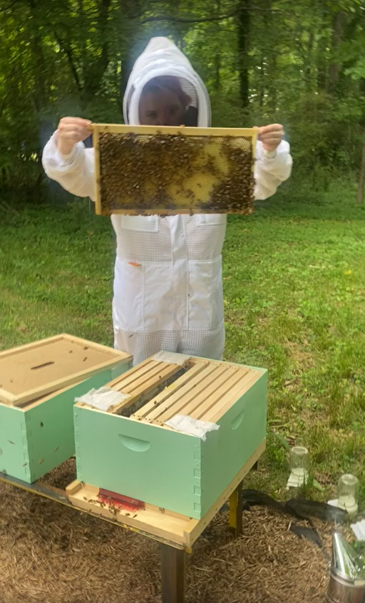 ReneeSakuya1's tweet photo. Checking on my bee babies, still not ready for a second brood box yet. Maybe next week.
#hiveinspection #bees #honeybees https://t.co/F0o2D95cCb