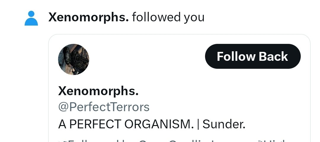 Squint. -- "No thanks."
(@PerfectTerrors)