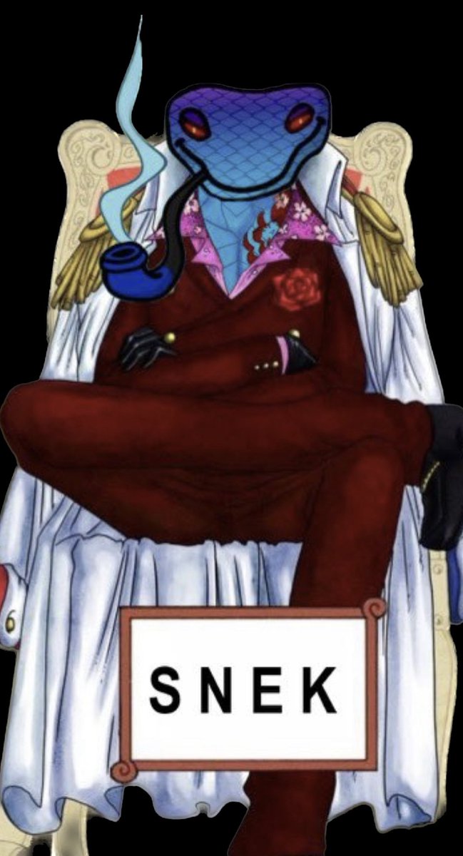 Sneaky 🐍 tweet media