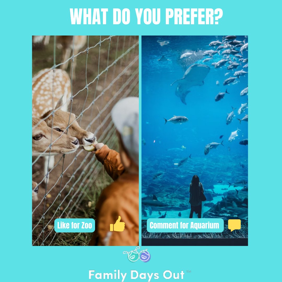 What do you prefer? 🐟 🐬 🐠 🐨 🐘 🐯