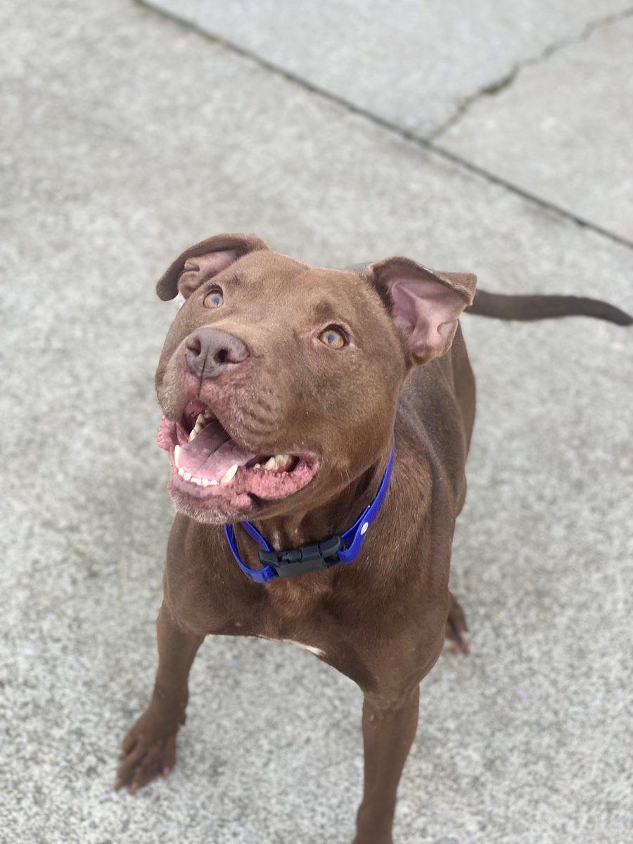 U.S. Marshals on Twitter "Puncher’s Chance Rescue & Sanctuary of the