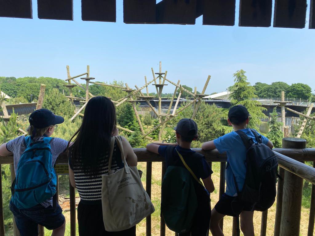 boothamboarders's tweet image. Thank you to @YorkshireWP for having us yesterday, we loved our visit in the lovely sunshine! 

#boothamschool #iloveboarding #bsaboarding #yorkshirewildlifepark #york #weekendactivity