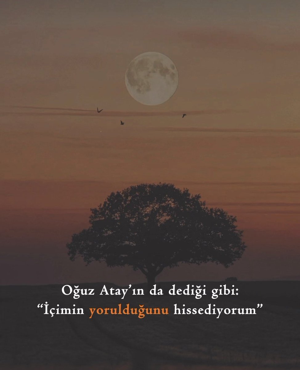 Nesibe Mirioğlu (@nesibemirioglu) on Twitter photo 