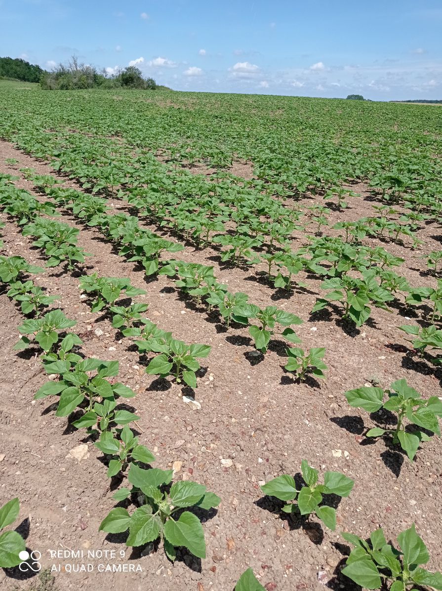 Astrid MORDON tweet media