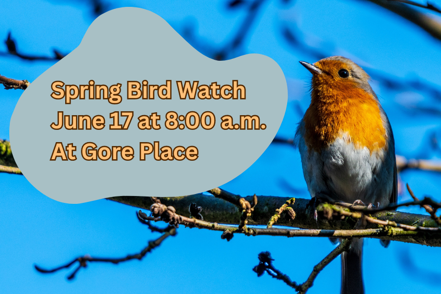WALK: Spring Bird Watch at Gore Place
Saturday, June 17 at 8:00 a.m.

Grab your binoculars and join our Farm Educator on a guided walk around the Farm at the height of spring bird migration. ADVANCE TICKETS REQUIRED.

goreplace.org/whats-on/sprin…

#BostonEvent #NatureWalk #BirdWatch