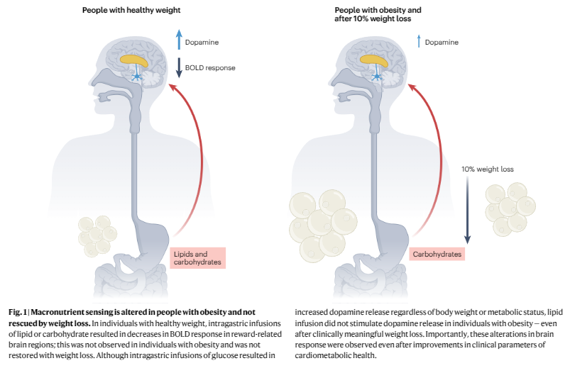 Michael Albert, MD tweet media