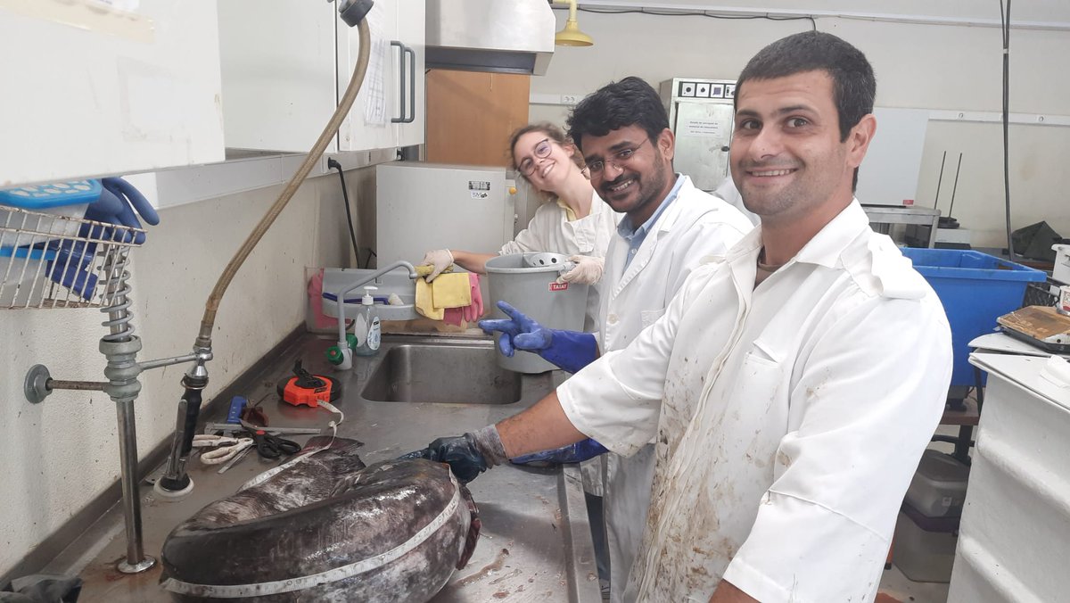 FishInvasionLab's tweet image. Our two new lab members Pradeep and Chandani, here for a two month internship under the Erasmus program. They will be working on the #megapredator project, looking at gear selectivity and at diet of European #catfish using metabarcoding. @FC_UL @MARE_centre #silurusglanis #wels