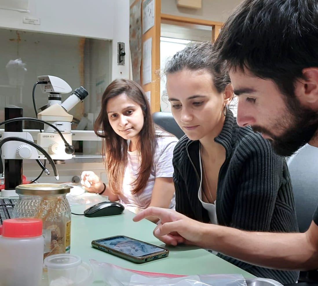 FishInvasionLab's tweet image. Our two new lab members Pradeep and Chandani, here for a two month internship under the Erasmus program. They will be working on the #megapredator project, looking at gear selectivity and at diet of European #catfish using metabarcoding. @FC_UL @MARE_centre #silurusglanis #wels